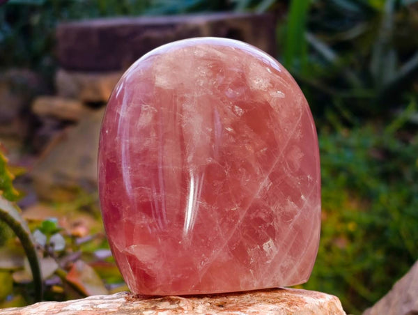 Polished Rose Quartz Standing Free Forms x 2 From Madagascar