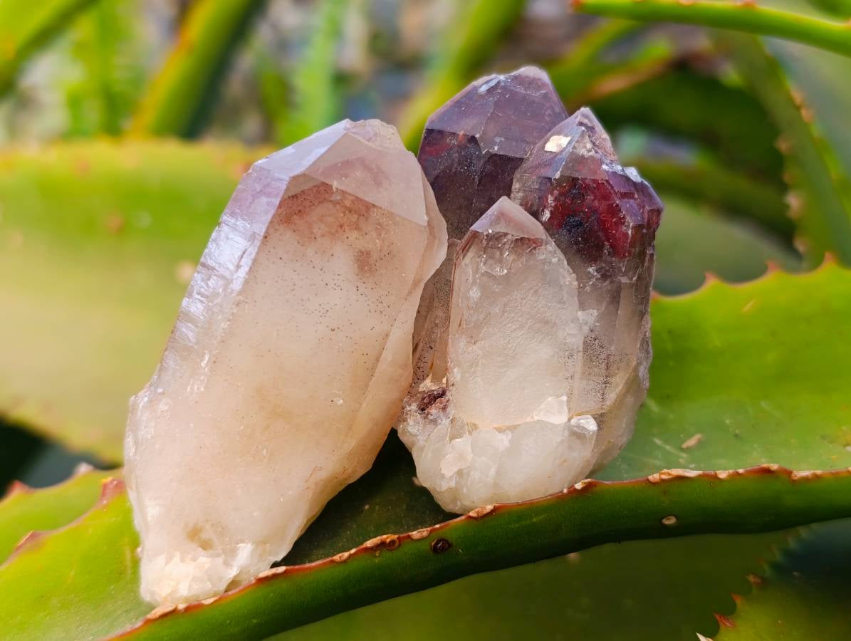 Natural Hematoid Quartz Crystals x 35 From Zimbabwe - Toprock Gemstones and Minerals 