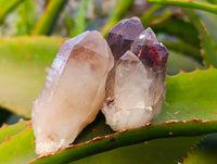Natural Hematoid Quartz Crystals x 35 From Zimbabwe