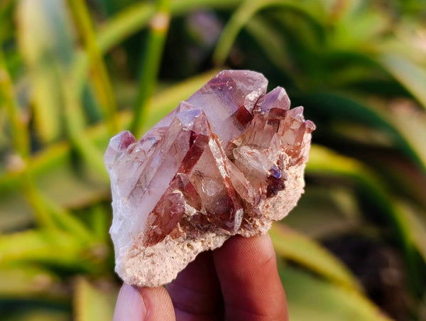 Natural Hematoid Quartz Crystals x 35 From Zimbabwe