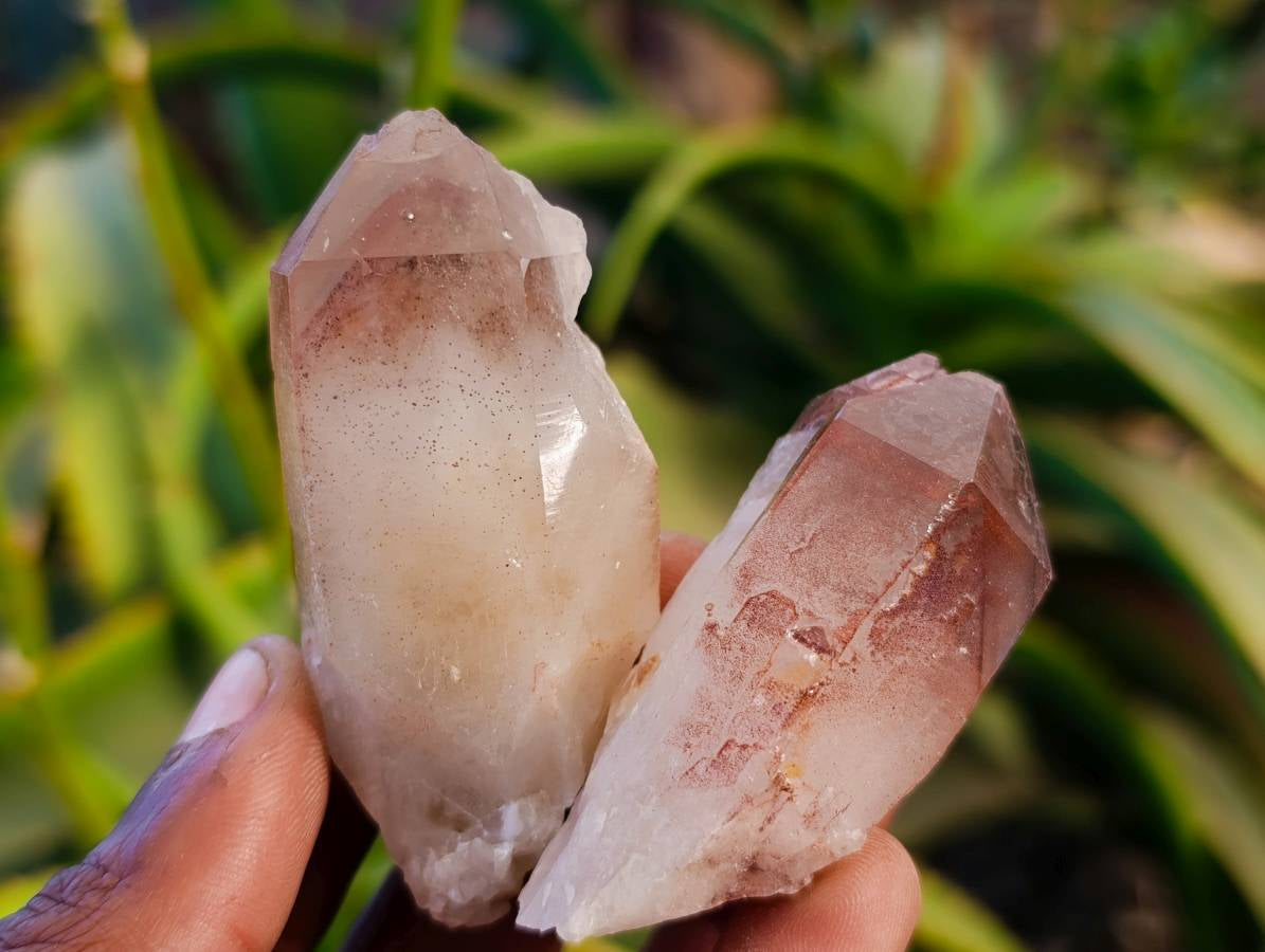 Natural Hematoid Quartz Crystals x 35 From Zimbabwe - Toprock Gemstones and Minerals 