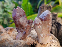 Natural Hematoid Quartz Crystals x 35 From Zimbabwe