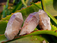 Natural Hematoid Quartz Crystals x 35 From Zimbabwe