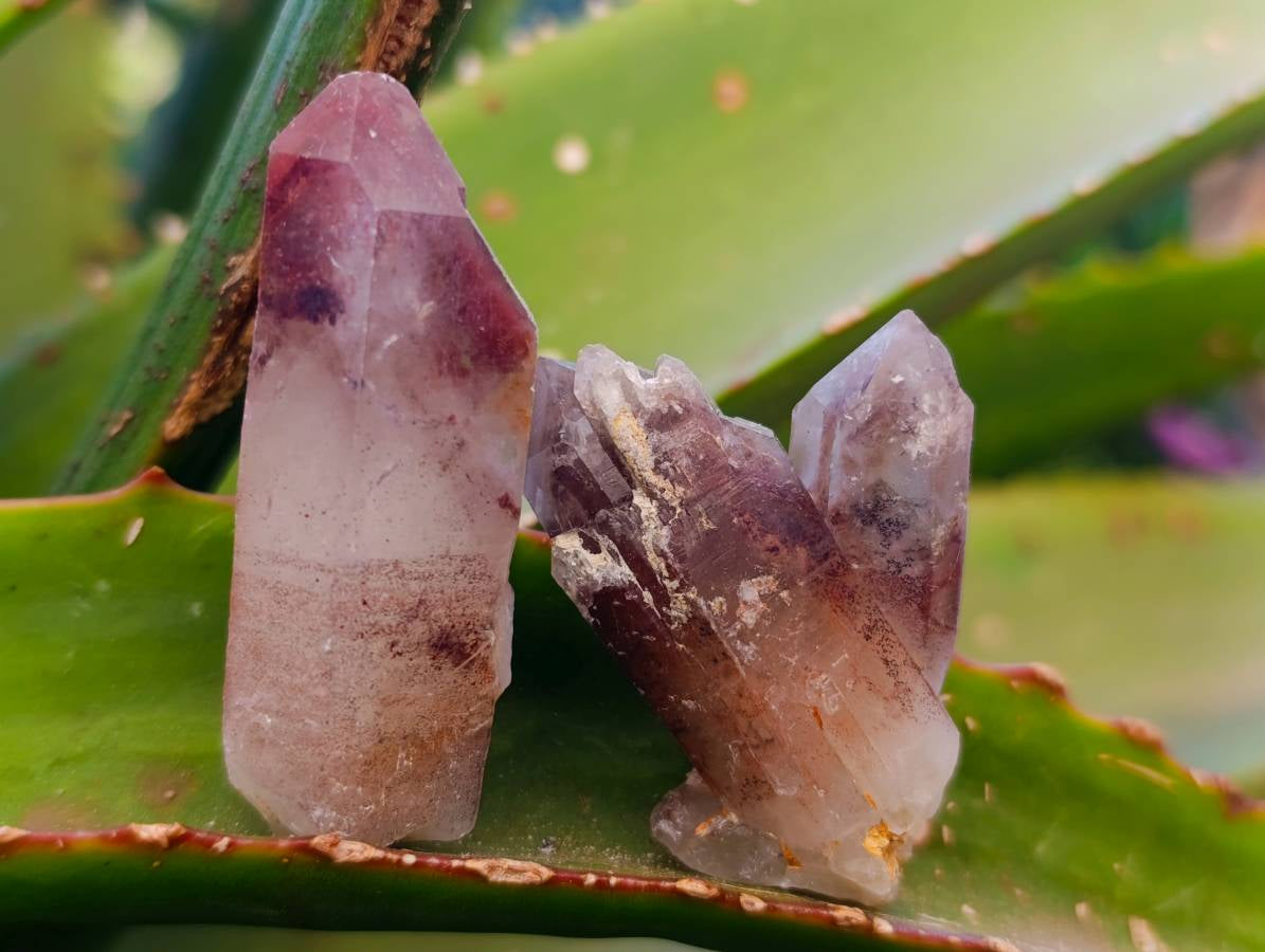 Natural Hematoid Quartz Crystals x 35 From Zimbabwe - Toprock Gemstones and Minerals 