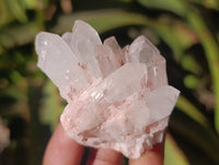 Natural Hollandite Quartz Clusters x 6 From Madagascar