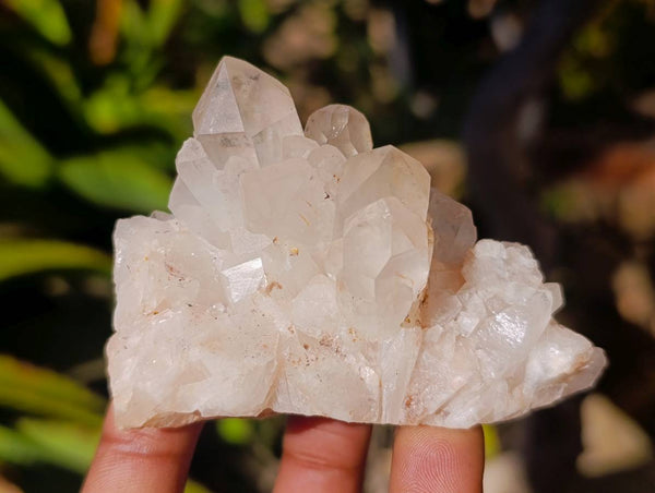 Natural Hollandite Quartz Clusters x 6 From Madagascar