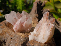 Natural Hollandite Quartz Clusters x 6 From Madagascar
