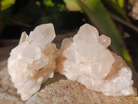 Natural Hollandite Quartz Clusters x 6 From Madagascar