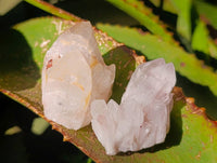 Natural Hollandite Quartz Clusters x 6 From Madagascar