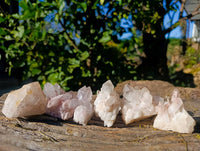 Natural Hollandite Quartz Clusters x 6 From Madagascar