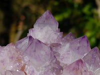 Natural Amethyst Spirit Quartz Clusters x 3 From South Africa