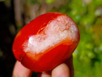 Polished Carnelian Agate Palm Stones x 20 From Madagascar