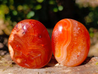 Polished Carnelian Agate Palm Stones x 20 From Madagascar