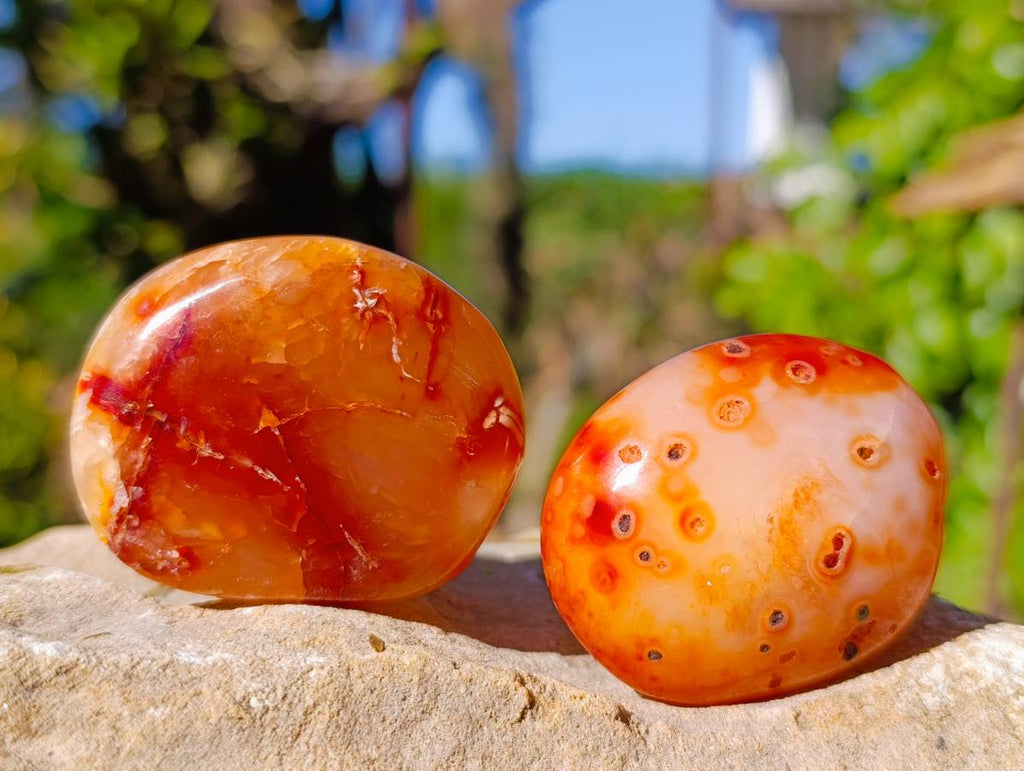 Polished Carnelian Agate Palm Stones x 20 From Madagascar - Toprock Gemstones and Minerals 