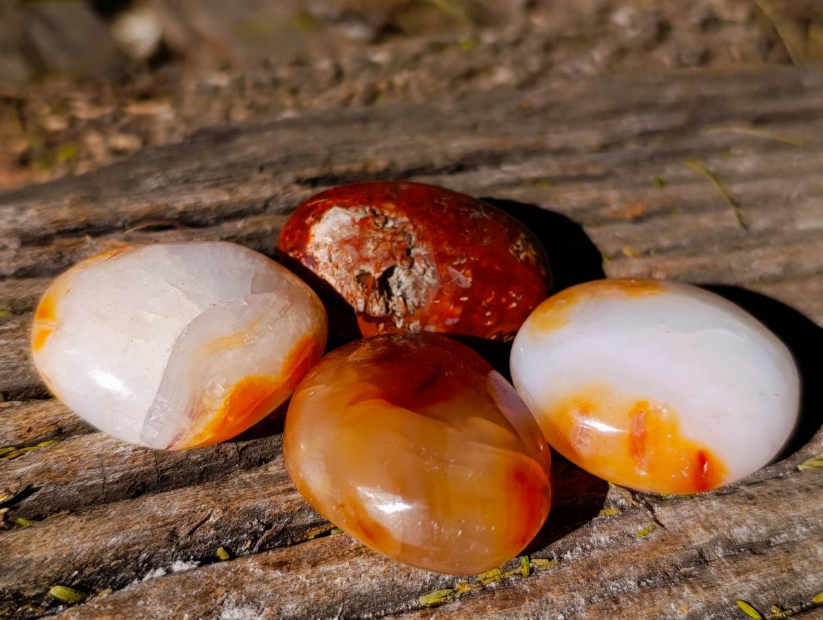 Polished Carnelian Agate Palm Stones x 20 From Madagascar - Toprock Gemstones and Minerals 
