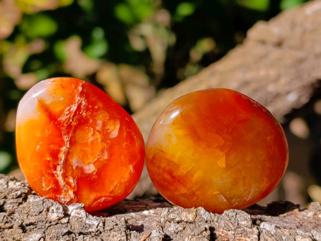 Polished Carnelian Agate Palm Stones x 20 From Madagascar - Toprock Gemstones and Minerals 