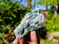 Natural Emerald Mica 'Mutokolite' Specimens x 12 From Mutoko, Zimbabwe