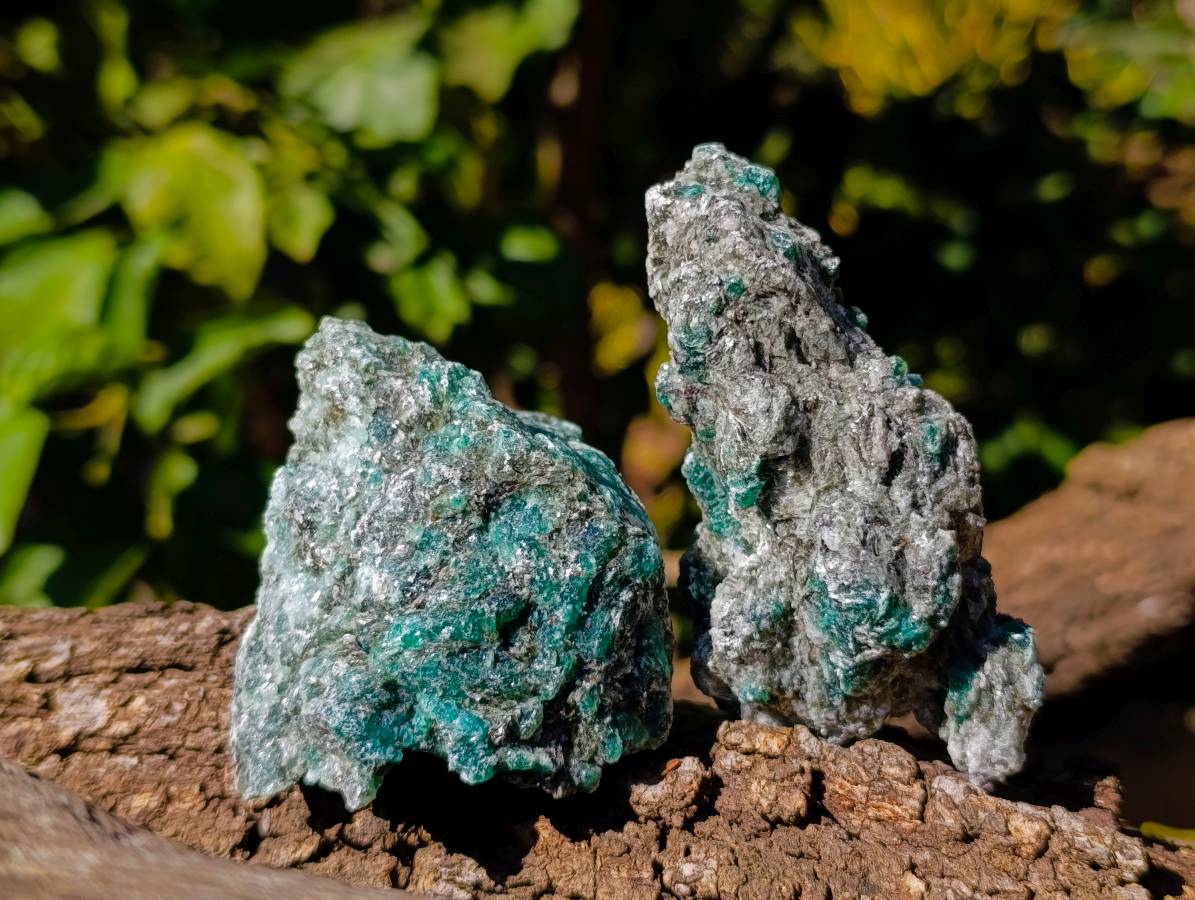 Natural Emerald Mica 'Mutokolite' Specimens x 12 From Mutoko, Zimbabwe - Toprock Gemstones and Minerals 