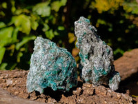 Natural Emerald Mica 'Mutokolite' Specimens x 12 From Mutoko, Zimbabwe