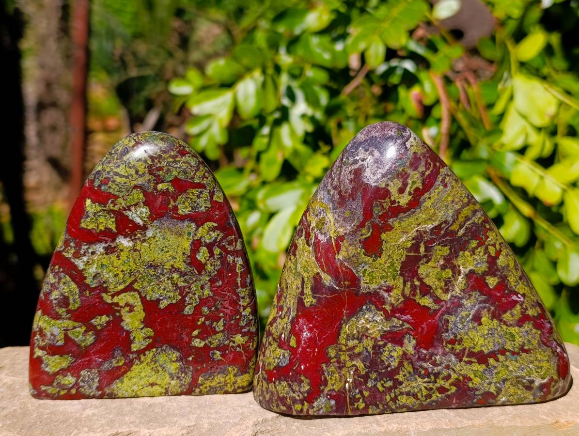 Polished Bastite Dragon Bloodstone Standing Free Forms x 2 From South Africa - Toprock Gemstones and Minerals 