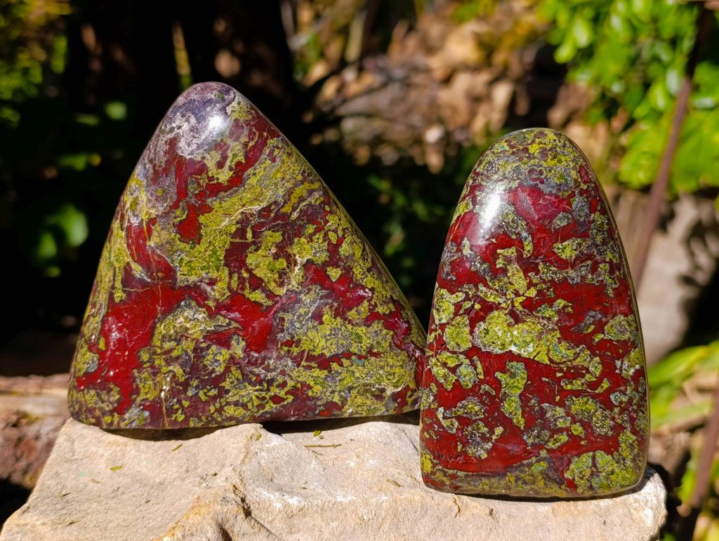 Polished Bastite Dragon Bloodstone Standing Free Forms x 2 From South Africa - Toprock Gemstones and Minerals 