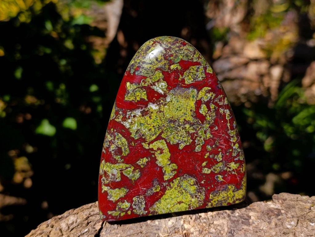 Polished Bastite Dragon Bloodstone Standing Free Forms x 2 From South Africa - Toprock Gemstones and Minerals 