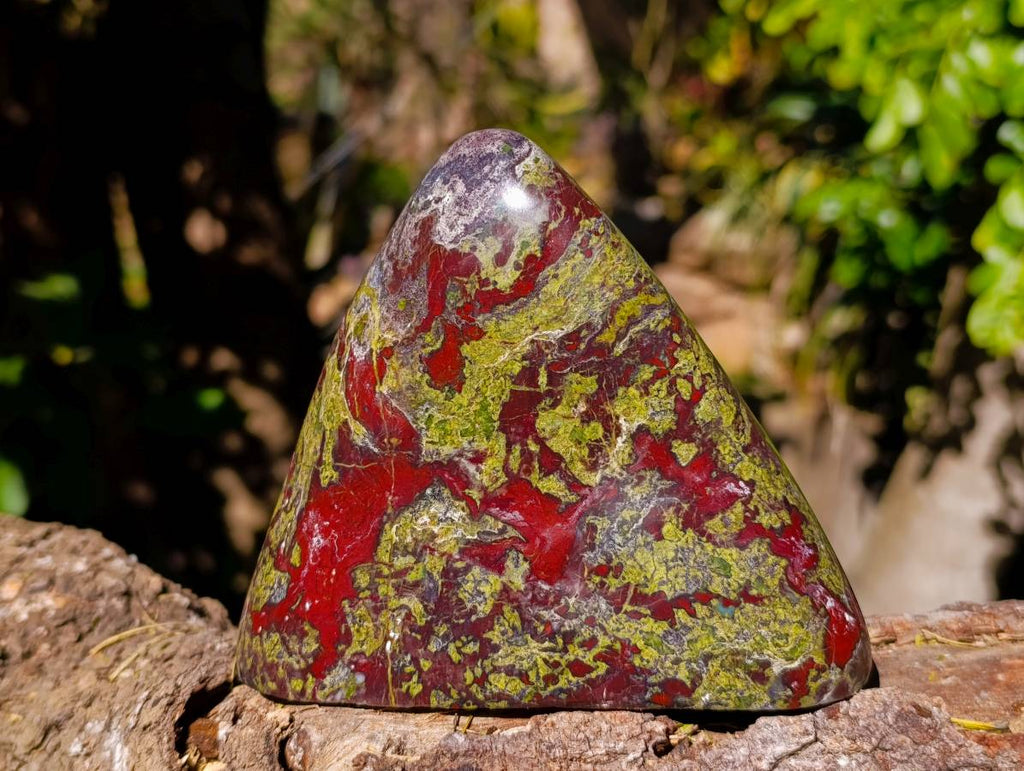 Polished Bastite Dragon Bloodstone Standing Free Forms x 2 From South Africa - Toprock Gemstones and Minerals 
