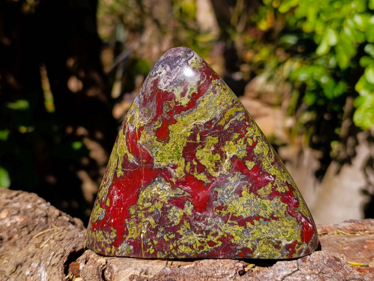 Polished Bastite Dragon Bloodstone Standing Free Forms x 2 From South Africa - Toprock Gemstones and Minerals 