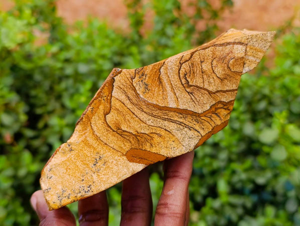 Natural Picture Stone Jasper Cobbed Specimens x 10 From Ais-Ais, Namibia
