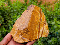 Natural Picture Stone Jasper Cobbed Specimens x 10 From Ais-Ais, Namibia