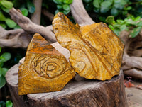 Natural Picture Stone Jasper Cobbed Specimens x 10 From Ais-Ais, Namibia