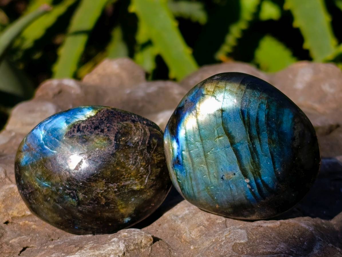 Polished Labradorite Palm Stones x 20 From Tulear, Madagascar - Toprock Gemstones and Minerals 