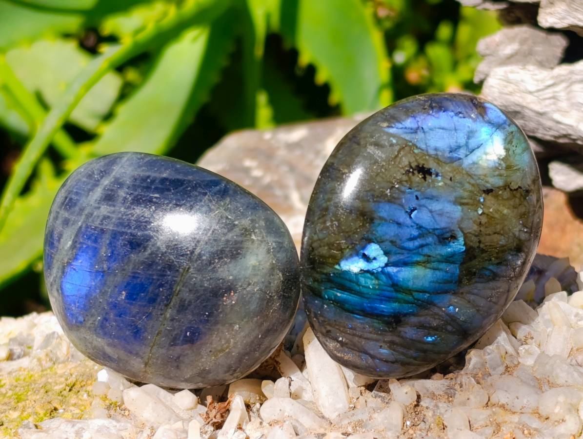 Polished Labradorite Palm Stones x 20 From Tulear, Madagascar - Toprock Gemstones and Minerals 