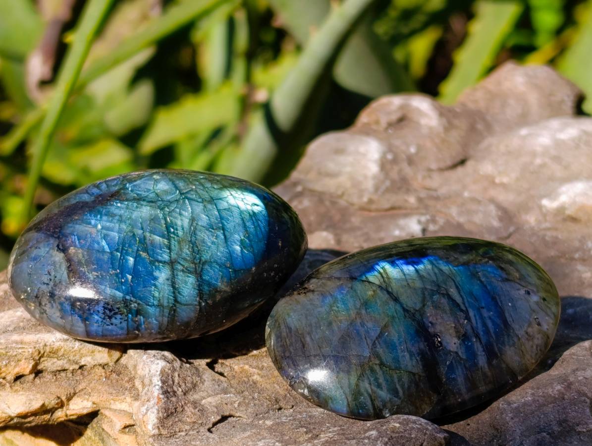 Polished Labradorite Palm Stones x 20 From Tulear, Madagascar - Toprock Gemstones and Minerals 