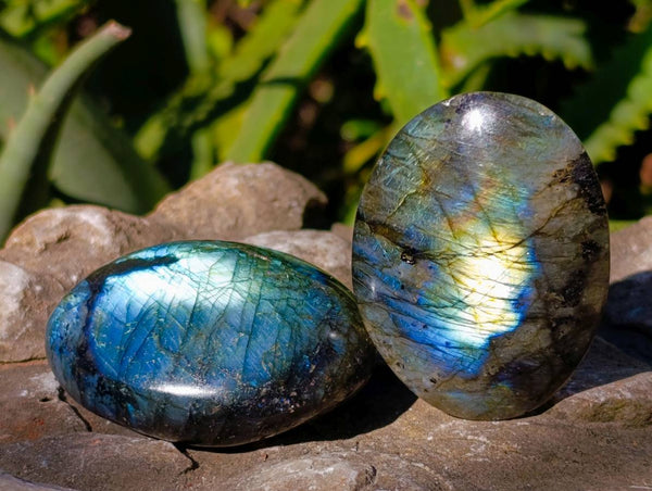 Polished Labradorite Palm Stones x 20 From Tulear, Madagascar