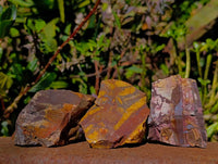Natural Selected Nguni Jasper Cobbed Specimens x 24 From Prieska, South Africa