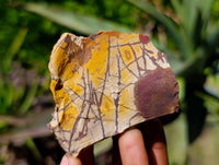 Natural Selected Nguni Jasper Cobbed Specimens x 24 From Prieska, South Africa