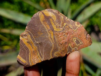 Natural Selected Nguni Jasper Cobbed Specimens x 24 From Prieska, South Africa
