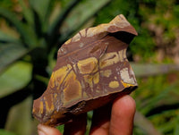 Natural Selected Nguni Jasper Cobbed Specimens x 24 From Prieska, South Africa