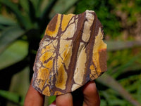 Natural Selected Nguni Jasper Cobbed Specimens x 24 From Prieska, South Africa