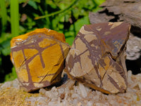 Natural Selected Nguni Jasper Cobbed Specimens x 24 From Prieska, South Africa
