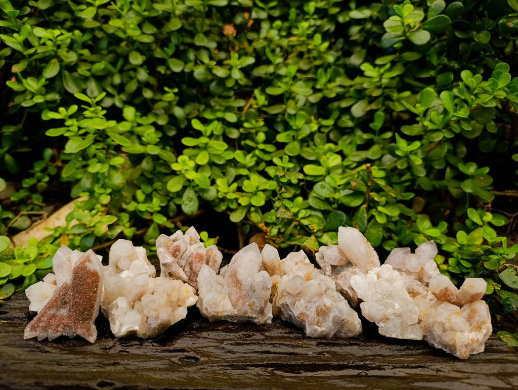 Natural Fairy Spirit Quartz Specimens x 12 From South Africa - Toprock Gemstones and Minerals 