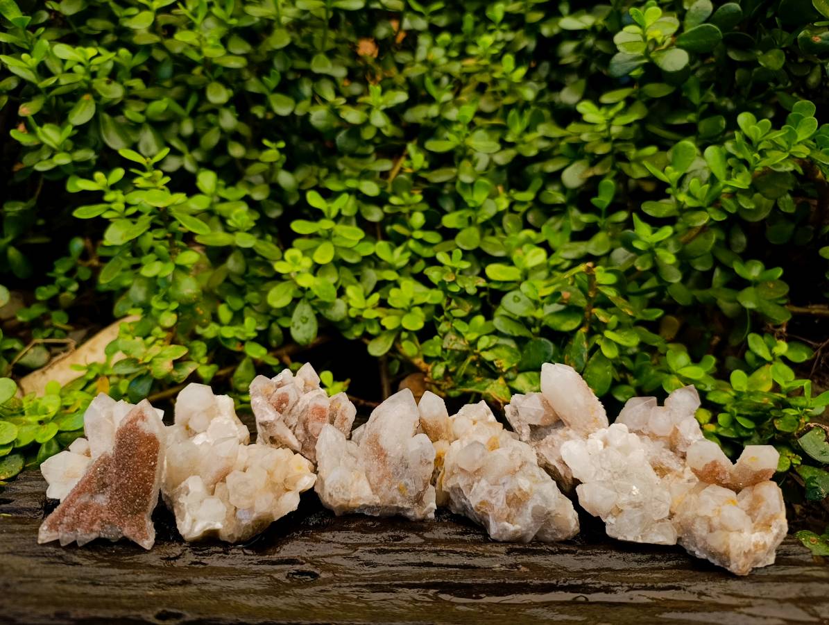 Natural Fairy Spirit Quartz Specimens x 12 From South Africa - Toprock Gemstones and Minerals 