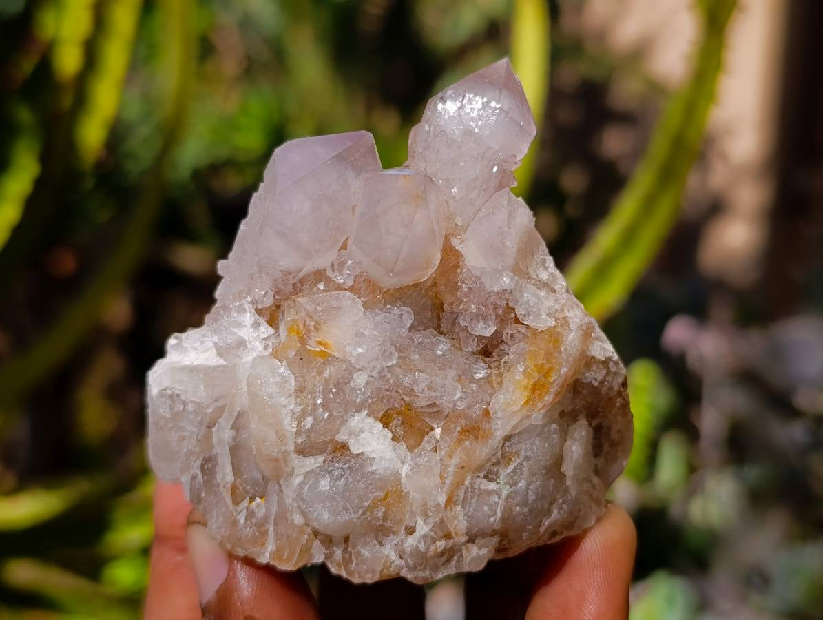 Natural Fairy Spirit Quartz Specimens x 12 From South Africa - Toprock Gemstones and Minerals 