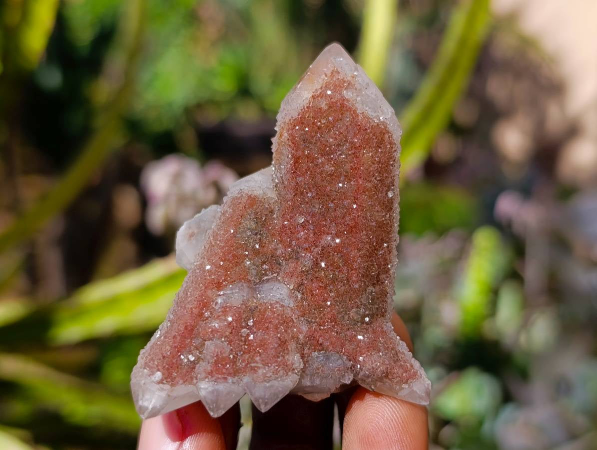 Natural Fairy Spirit Quartz Specimens x 12 From South Africa - Toprock Gemstones and Minerals 