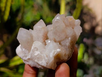 Natural Fairy Spirit Quartz Specimens x 12 From South Africa