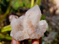 Natural Fairy Spirit Quartz Specimens x 12 From South Africa