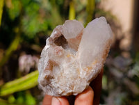 Natural Fairy Spirit Quartz Specimens x 12 From South Africa