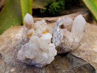 Natural Fairy Spirit Quartz Specimens x 12 From South Africa