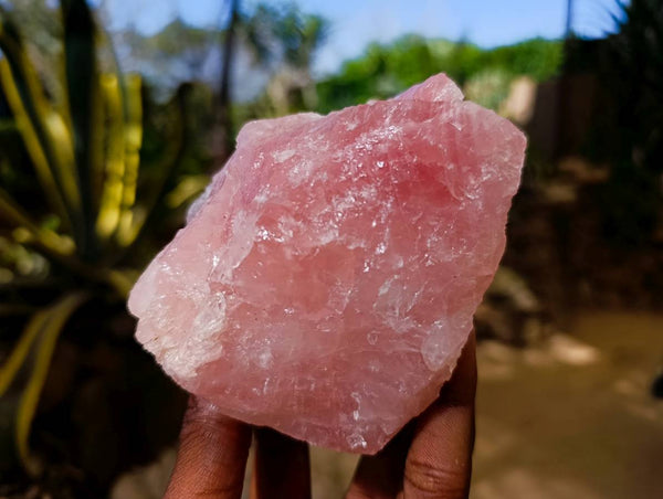Natural Pink Rose Quartz Cobbed Specimens x 12 From North Cape, South Africa